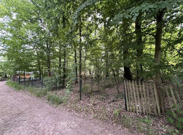 Bennewitz, Saxony 4828