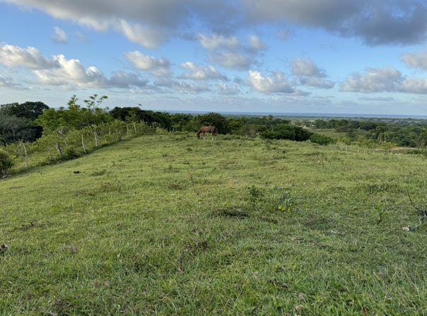 Unnamed Road, Las Lagunas de Nisibón, La Altagracia Province