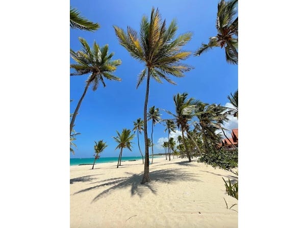 Punta Cana, La Altagracia Province 23000