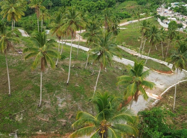 Samana, Samana, Samaná Province 32000