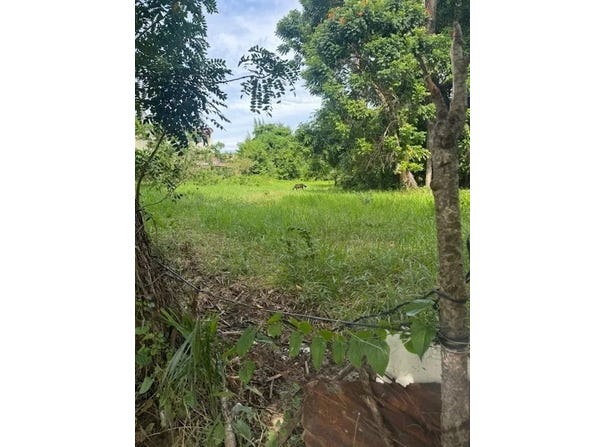 Puerto Plata, Puerto Plata Province 57000