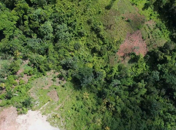 Loma De La Piña, Samaná, Samaná Province 32000
