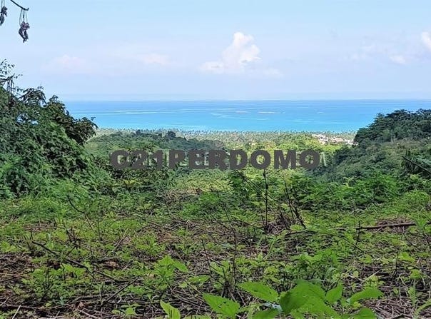 Las Terrenas, Samaná Province 32000