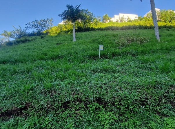 El Jamito, Samaná, Samaná Province 32000