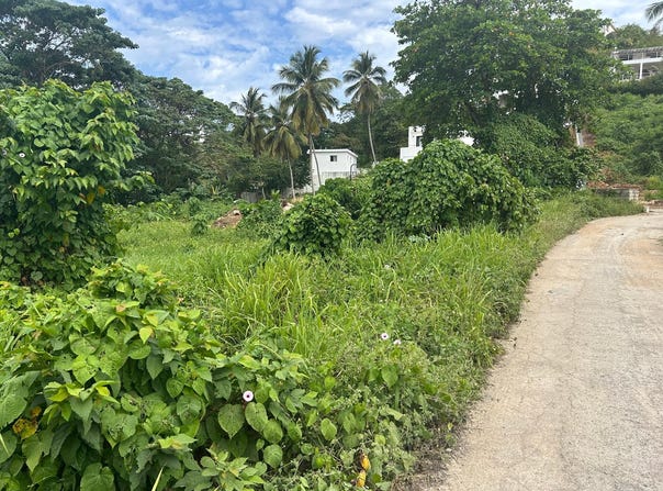 Las Terrenas, Samaná Province 32000