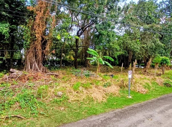 Cabarete, Puerto Plata Province