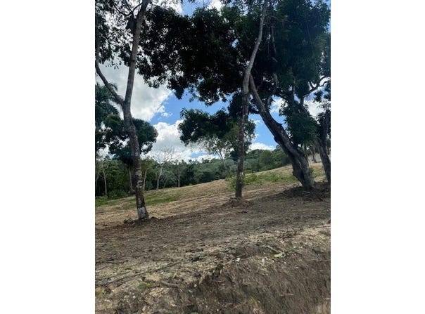 Puerto Plata, Puerto Plata Province 57000