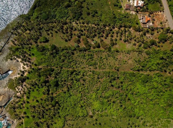 Las Galeras, Samaná, Samaná Province 32000