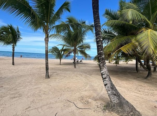 Las Ballenas, Samaná, Samaná Province 32000