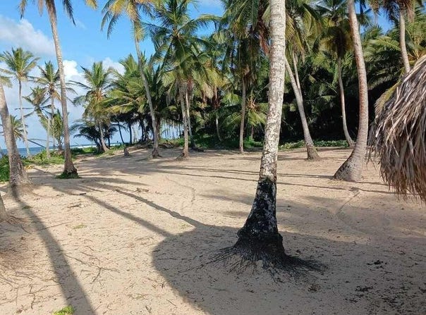 Bávaro, Higuey, La Altagracia Province 23000