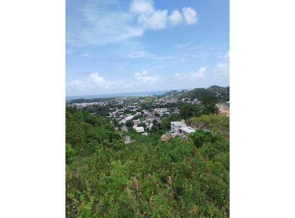 Las Terrenas, Samaná Province 32000