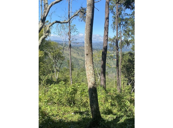 38J8+4RM, Jarabacoa 41000, Dominican Republic, Jarabacoa, La Vega Province 41000