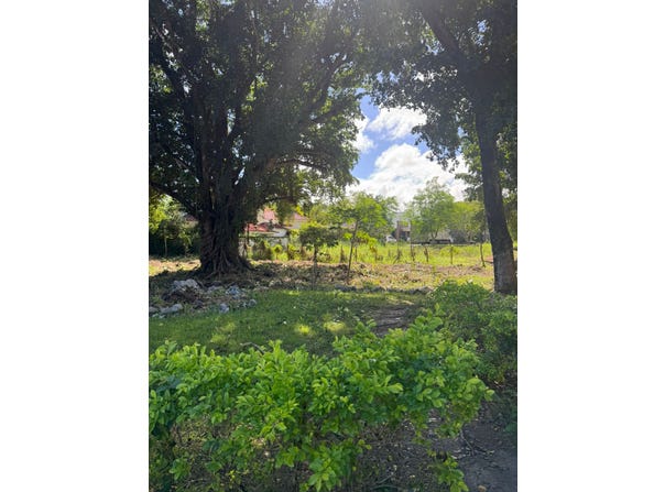 QGHP+JW3, Perla Marina 57000, Dominican Republic, Cabarete, Puerto Plata Province 57000