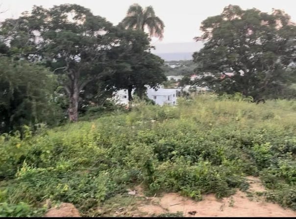 Puerto Plata, Puerto Plata, Puerto Plata Province 57000