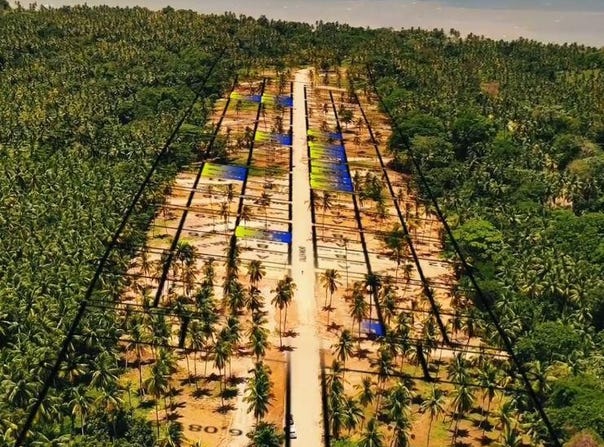 Majagual, Samaná, Samaná Province 32000