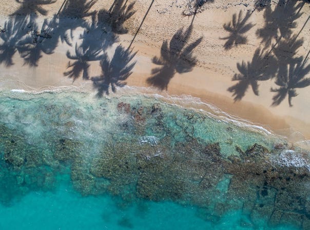 El Cosón, Samaná, Samaná Province 32000
