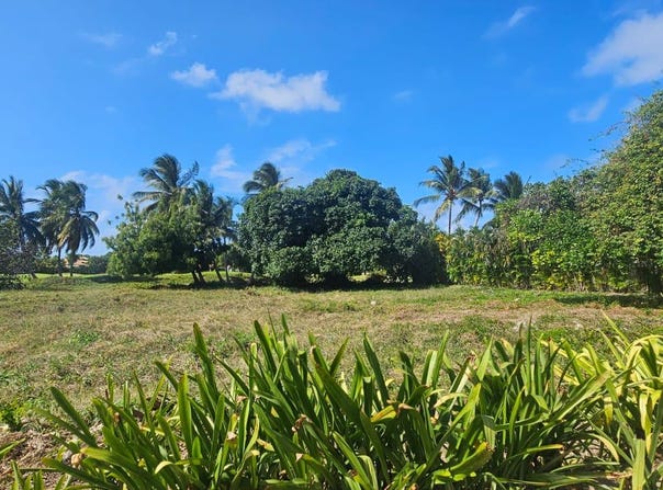 Residencial Cocotal, Punta Cana, La Altagracia Province 23000