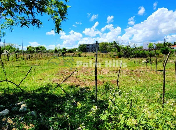 QFFQ+QJ7, Sosúa 57000, Dominican Republic, Sosúa, Puerto Plata Province 57000