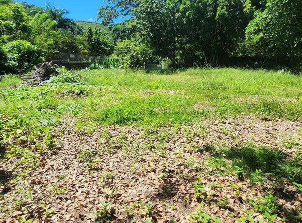 El Cosón, Samaná, Samaná Province 32000