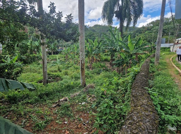 El Cosón, Samaná, Samaná Province 32000