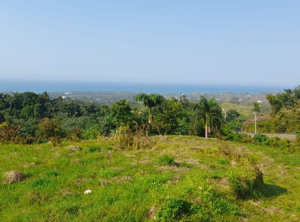 El Jamito, Samaná, Samaná Province 32000