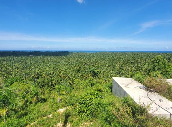La Barbacoa, Samaná, Samaná Province 32000