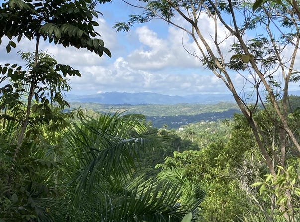 Unnamed Road, Sosúa, Puerto Plata Province 57000
