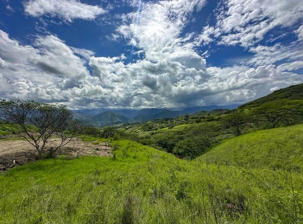 Expansive 2500 m² Lot for Sale in Malacatos - Breathtaking Views, Privacy, and Potential, Malacatos, Loja