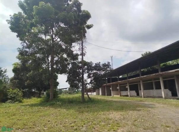 19 de Mayo S/N, Centro de La Maná, La Mana, Cotopaxi, Cotopaxi