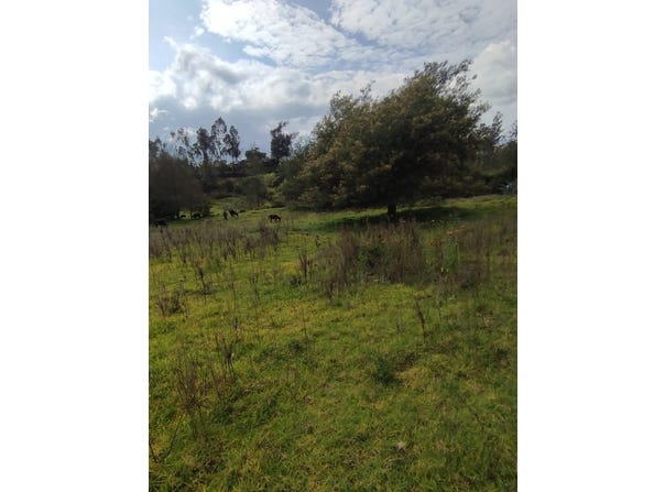 Your Peaceful Haven in the Heart of Nature â€“ Cotacachi Land for Sale, Cotacachi, Imbabura