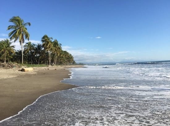 **NEW PRICE** 2.47 Acres of Prime Beachfront Land in Cojimies, Cojimies, Manabí
