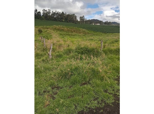 Development Parcel For Sale in Bolivar CARCHI TULCAN, Bolivar, Carchi