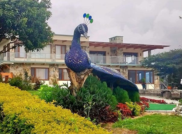 Rovetto Casa De Gigantones - Elevated Beauty In Yunguilla Valley: Rovetto Casa De Gigantones - Elevated Beauty In Yunguilla ValleyKM 48.7 via Giron Pasaje, Cuenca, Cuenca, Azuay