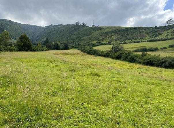 Countryside Property For Sale in Yaruqui - Quito, Quito, Pichincha