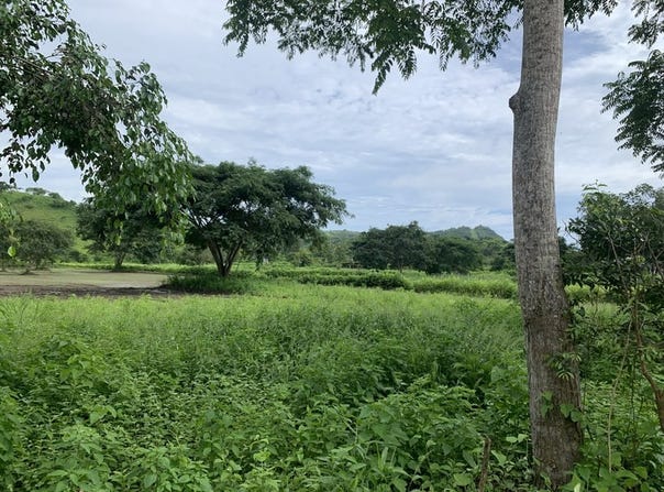 Olón Ecuador Land For Sale : Walking distance to town and some of the best surfing in Ecuador, Olón, Santa Elena