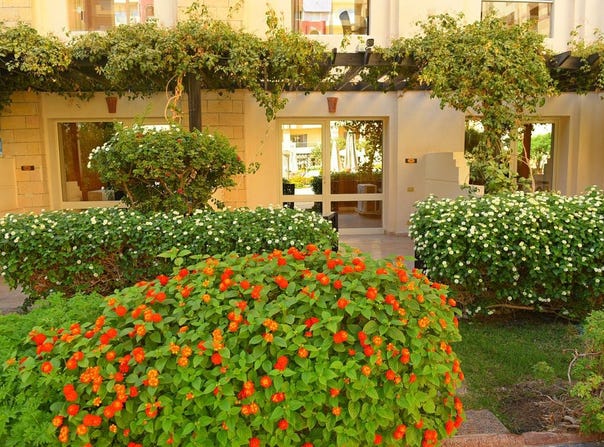 El-Bahr, Hurghada, Red Sea Governorate