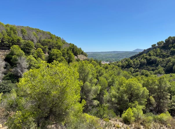 Jávea, Valencian Community 3730