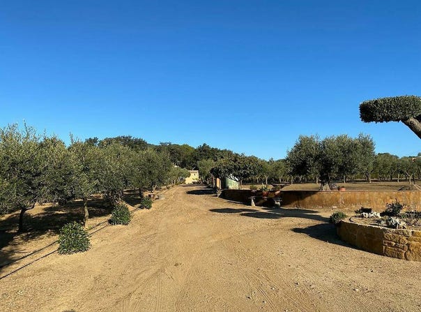 Mont-Ras, Catalonia 17253