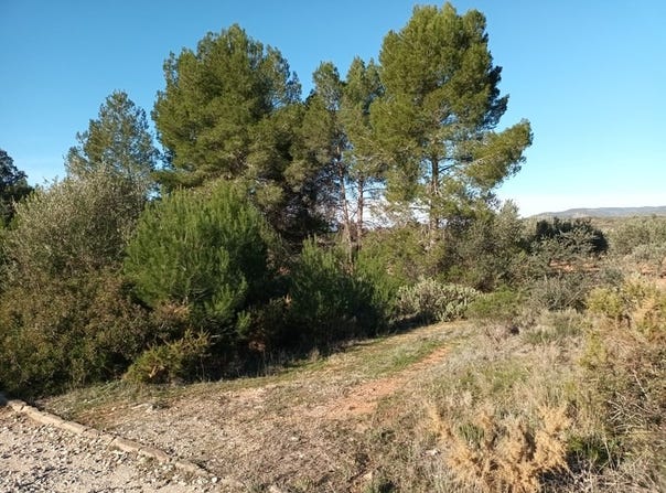 Macastre, Valencian Community