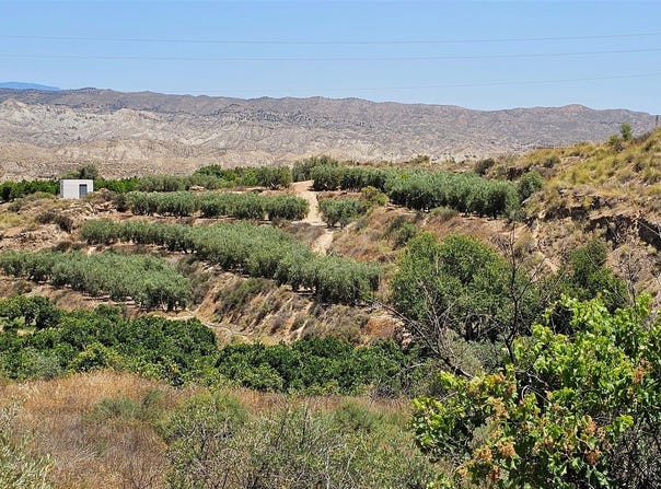 Illar, Andalusia 04431