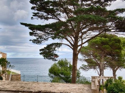 Palamós, Cataluña|Catalonia 17248