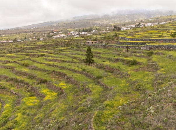 Adeje, Canary Islands