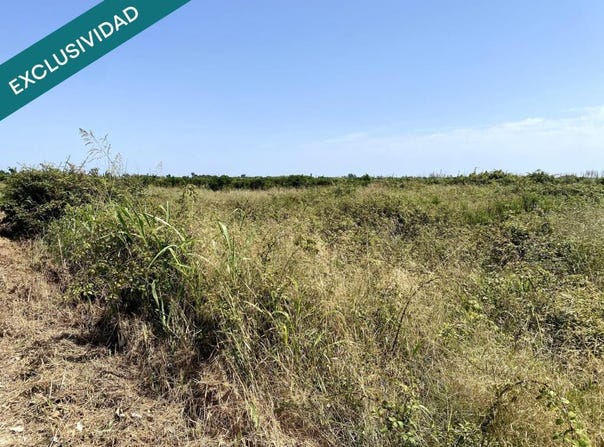 Riola, Valencian Community 46417