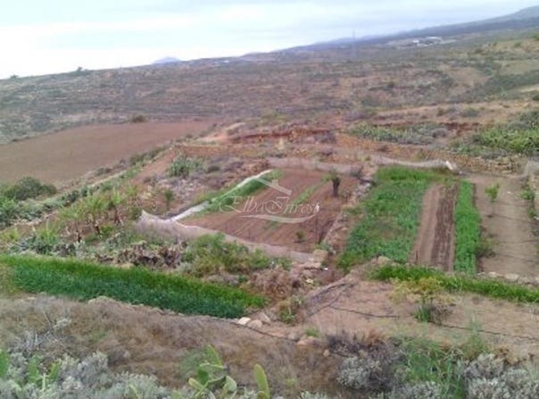 Arico, Canary Islands 38589