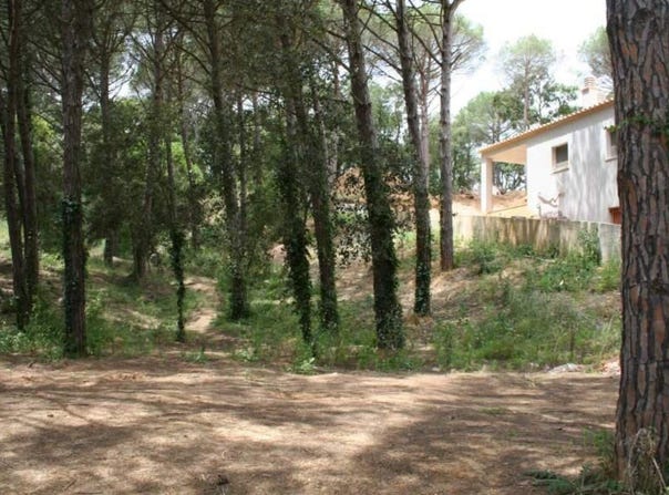 Calonge, Catalonia 17251