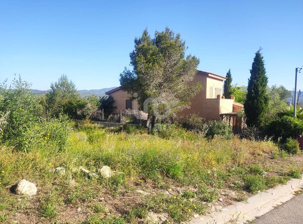 Tarragona, Catalonia 43717