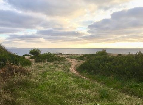 Vallgornera, Illes Balears|Baleares 07639