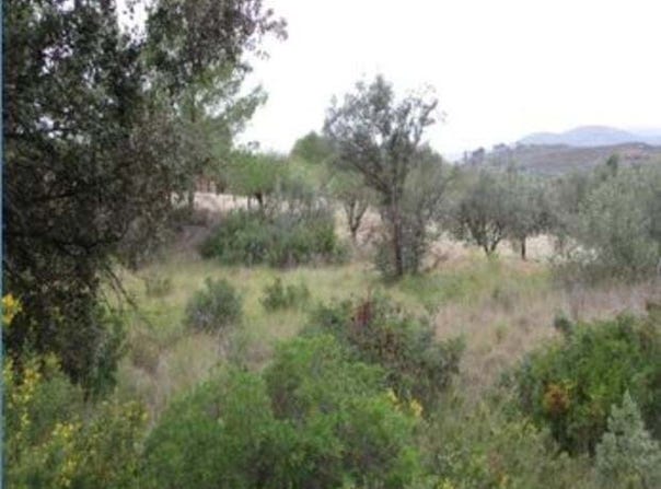 Macastre, Valencian Community
