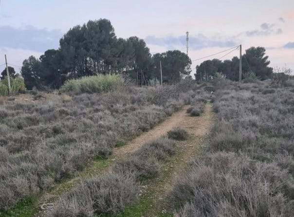 Lleida, Catalonia