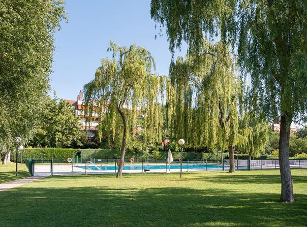Pozuelo de Alarcón, Community of Madrid 28223